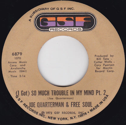 Sir Joe Quarterman & Free Soul : (I Got) So Much Trouble In My Mind (7")