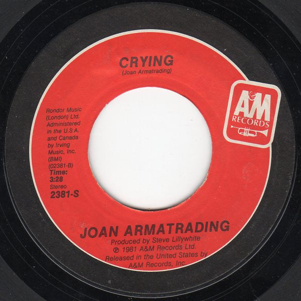 Joan Armatrading : The Weakness In Me (7")