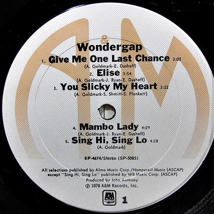 Wondergap : Wondergap (LP, Album)