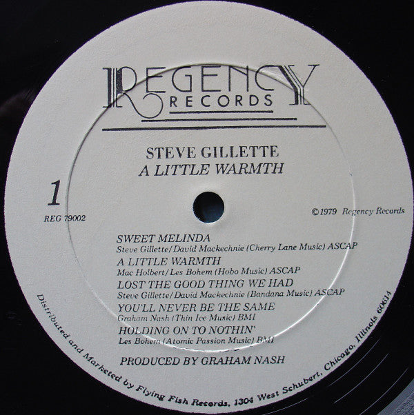 Steve Gillette : A Little Warmth (LP, Album)