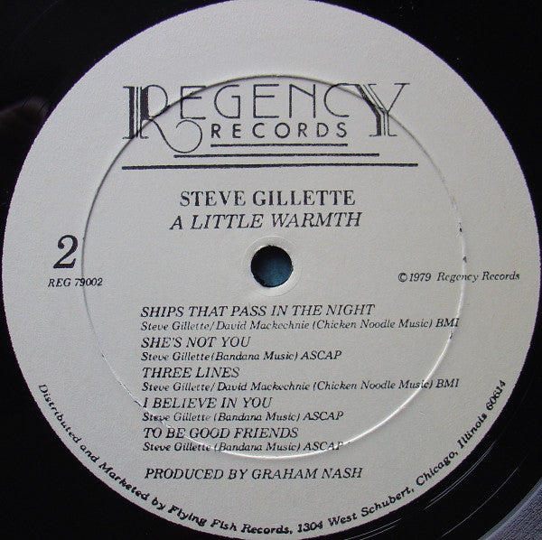 Steve Gillette : A Little Warmth (LP, Album)