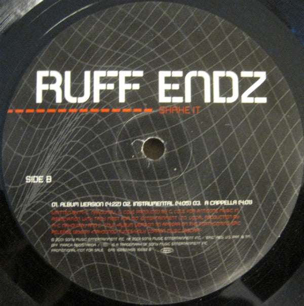 Ruff Endz : Someone To Love You (12", Promo)