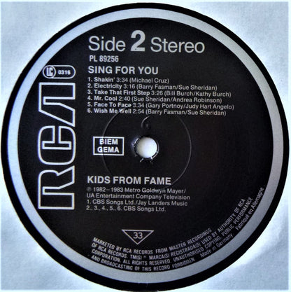 The Kids From Fame : Sing For You (LP)