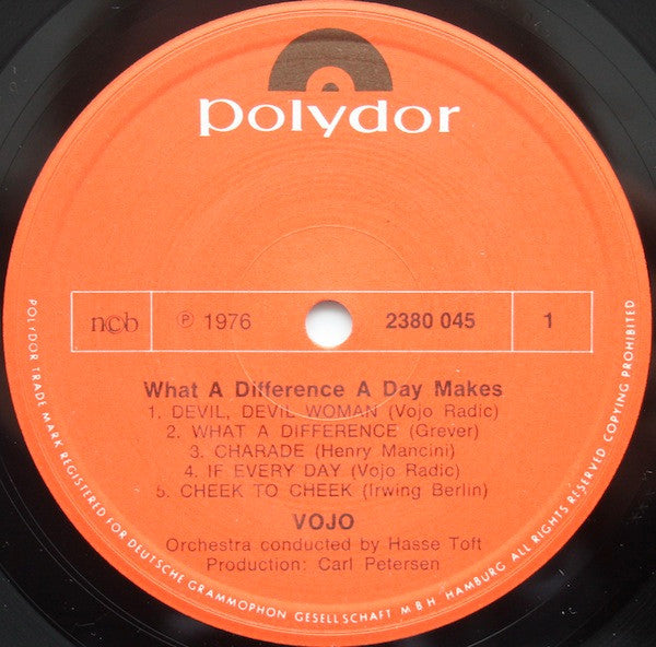 Vojo Radic : What A Difference A Day Makes. (LP, Album)