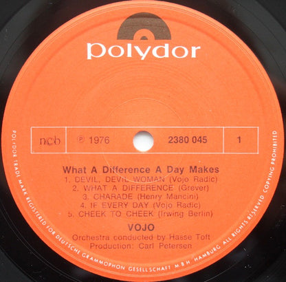 Vojo Radic : What A Difference A Day Makes. (LP, Album)