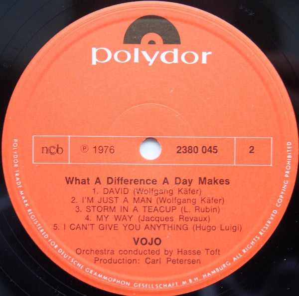 Vojo Radic : What A Difference A Day Makes. (LP, Album)