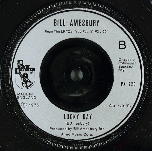 Bill Amesbury : I Remember (7", Single, Sil)