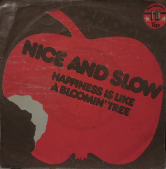 Soundation : Nice And Slow  (7", Single)