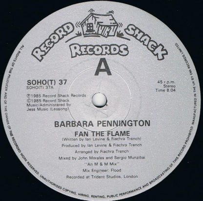 Barbara Pennington : Fan The Flame (12", Single)