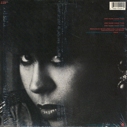 Vesta Williams : Don't Blow A Good Thing (12", Single)