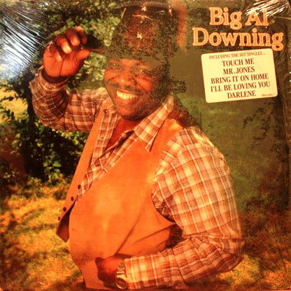 Al Downing : Big Al Downing (LP, Album)