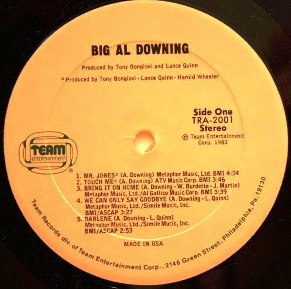 Al Downing : Big Al Downing (LP, Album)