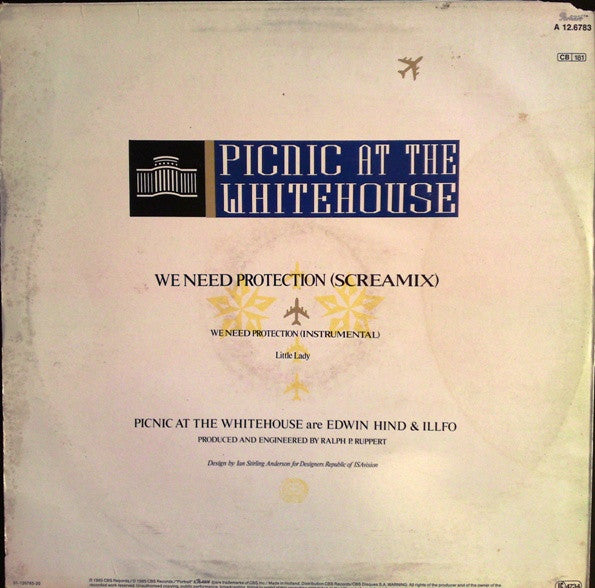 Picnic At The Whitehouse : We Need Protection (Screamix) (12", Maxi)