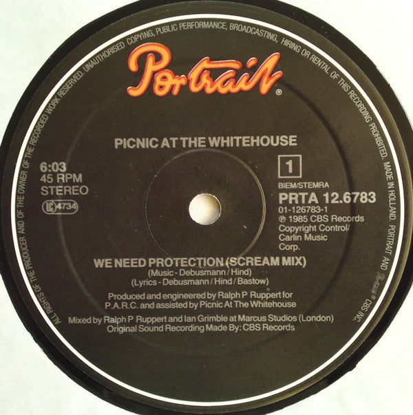 Picnic At The Whitehouse : We Need Protection (Screamix) (12", Maxi)