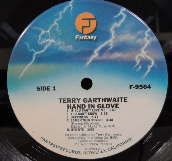 Terry Garthwaite : Hand In Glove (LP, Album)