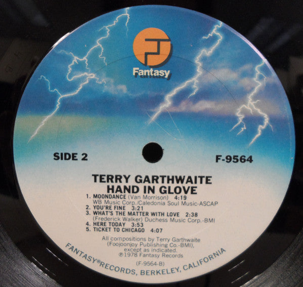 Terry Garthwaite : Hand In Glove (LP, Album)