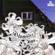 Fri Galaxe : Blomster & Kys (CD)