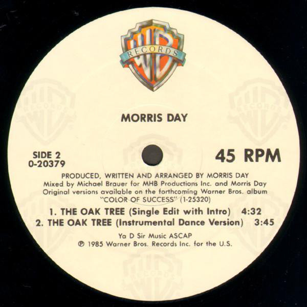 Morris Day : The Oak Tree (12", Maxi)