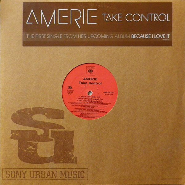 Amerie : Take Control (12", Single)