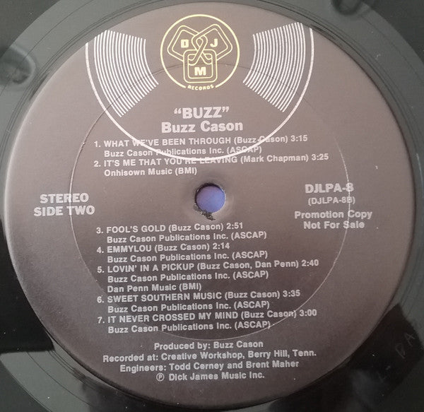 Buzz Cason : Buzz (LP, Album, Promo)