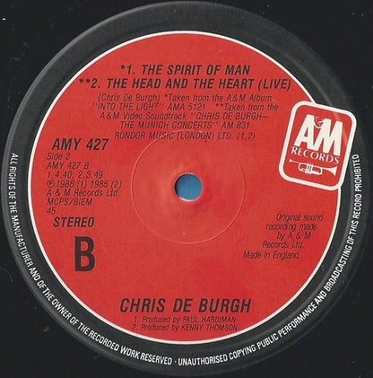 Chris de Burgh : The Simple Truth (A Child Is Born) (12")