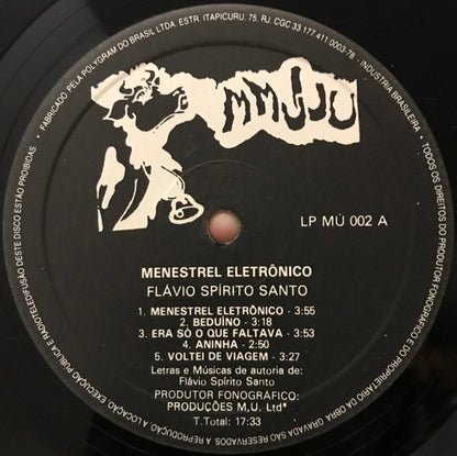 Flavio Spirito Santo : Menestrel  Eletrônico  (LP, Album)