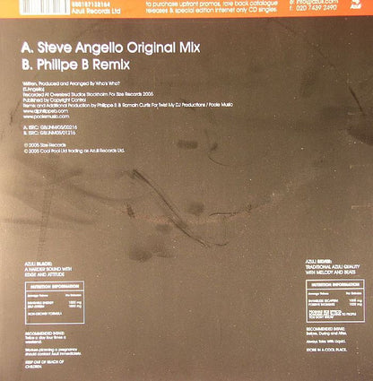 Who's Who? : Not So Dirty (Steve Angello / Phillpe B Mixes) (12")