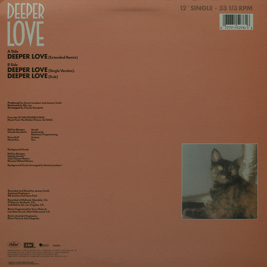 Meli'sa Morgan : Deeper Love (12")