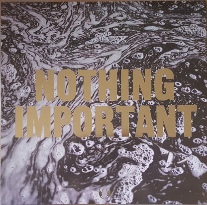 Richard Dawson : Nothing Important (LP, Album)