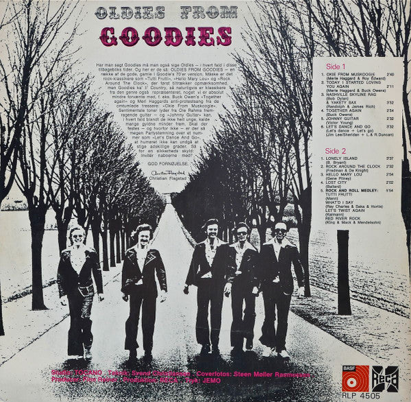 Goodies : Oldies From Goodies (LP, Album)