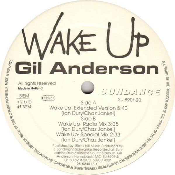 Gil Anderson : Wake Up (12")