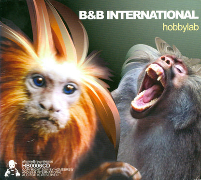 B & B International : Hobbylab (CD, Album)