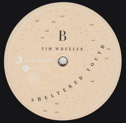 Tim Wheeler : Sheltered Youth (10", EP)