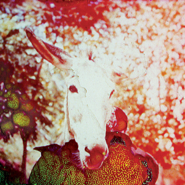 Jerusalem In My Heart : If He Dies, If If If If If If (LP, Album)