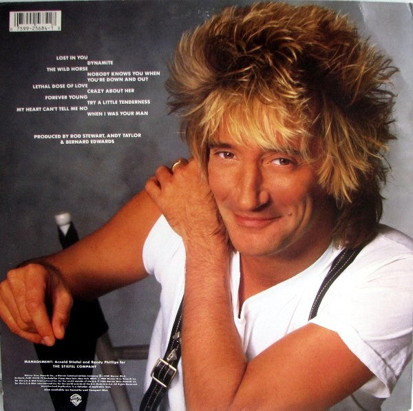 Rod Stewart : Out Of Order (LP, Album, All)