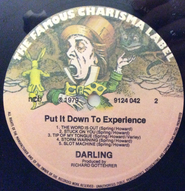 Darling (5) : Put It Down To Experience (LP, Album)