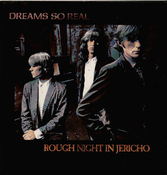 Dreams So Real : Rough Night In Jericho (LP, Album)