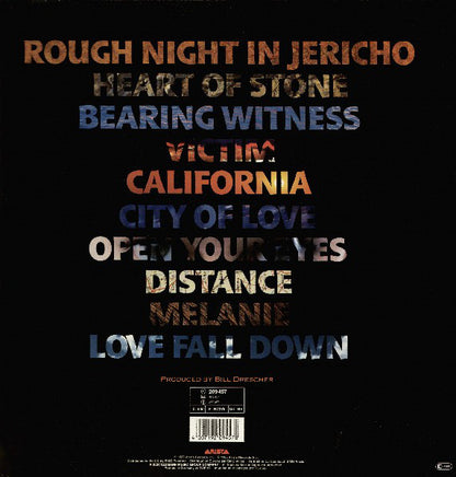 Dreams So Real : Rough Night In Jericho (LP, Album)