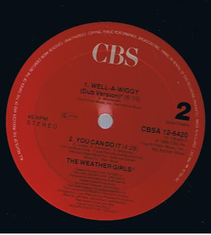 The Weather Girls : Well-A-Wiggy (12", Maxi)