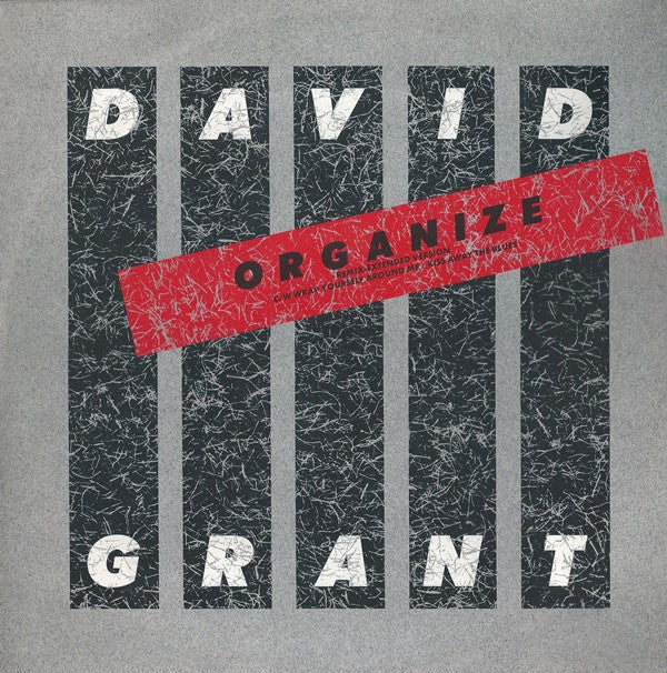 David Grant : Organize (12")