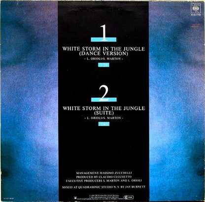 Sandy Marton : White Storm In The Jungle (Two Special D.J. Versions) (12", Single)