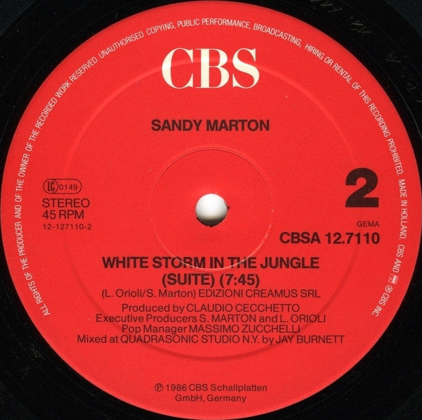 Sandy Marton : White Storm In The Jungle (Two Special D.J. Versions) (12", Single)