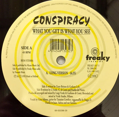 Conspiracy (2) : What You Get Is What You See (12")